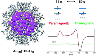 Graphical abstract: Controlling magnetism of Au133(TBBT)52 nanoclusters at single electron level and implication for nonmetal to metal transition