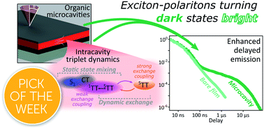 Graphical abstract: Manipulating molecules with strong coupling: harvesting triplet excitons in organic exciton microcavities