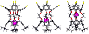 Graphical abstract: Halo-Derivatised Calix[4]tubes