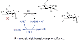 Graphical abstract: Stereoselective oxidation of protected inositol derivatives catalyzed by inositol dehydrogenase from Bacillus subtilis