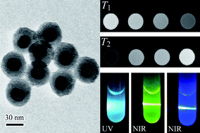 Graphical abstract: Facile synthesis of lanthanide nanoparticles with paramagnetic, down- and up-conversion properties