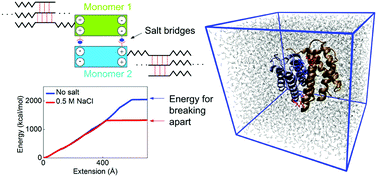 Graphical abstract: Effect of sodium chloride on the structure and stability of spider silk's N-terminal protein domain