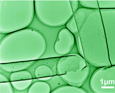 Graphical abstract: Thin-walled B–C–N ternary microtubes: from synthesis to electrical, cathodoluminescence and field-emission properties
