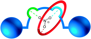 Graphical abstract: Nitrate anion templated assembly of a [2]rotaxane for selective nitrate recognition in aqueous solvent mixtures