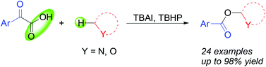 Graphical abstract: Bu4NI-catalyzed decarboxylative acyloxylation of an sp3 C–H bond adjacent to a heteroatom with α-oxocarboxylic acids