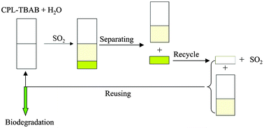 Graphical abstract: Anaerobic biodegradability and toxicity of caprolactam-tetrabutyl ammonium bromide ionic liquid to methanogenic gas production