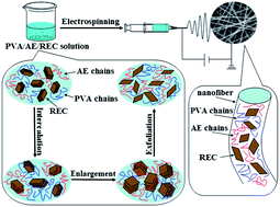 Graphical abstract: Protein–polymer co-induced exfoliated layered silicate structure based nanofibrous mats and their cytotoxicity