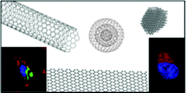 Graphical abstract: Carbon nanomaterials: multi-functional agents for biomedical fluorescence and Raman imaging