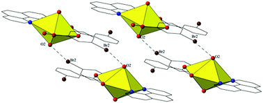 Graphical abstract: Combining coordination and supramolecular chemistry to explore uranyl assembly in the solid state