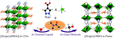 Graphical abstract: Syntheses, structures and gas sorption properties of two coordination polymers with a unique type of supramolecular isomerism