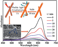 Graphical abstract: Plasmon enhanced visible light photocatalytic activity of ternary Ag2Mo2O7@AgBr–Ag rod-like heterostructures