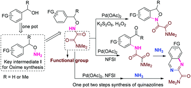 Graphical abstract: Transformation of masked benzyl alcohols to o-aminobenzaldehydes through C–H activation: a facile approach to quinazolines