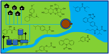 Graphical abstract: Emerging investigators series: prioritization of suspect hits in a sensitive suspect screening workflow for comprehensive micropollutant characterization in environmental samples