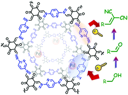 Graphical abstract: A bifunctional covalent organic framework as an efficient platform for cascade catalysis