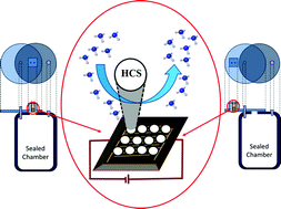 Graphical abstract: Hollow carbon spheres and a hollow carbon sphere/polyvinylpyrrolidone composite as ammonia sensors