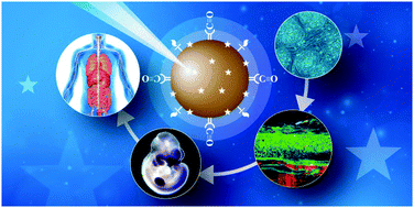 Graphical abstract: Recent progress in surface-enhanced Raman spectroscopy for biological and biomedical applications: from cells to clinics