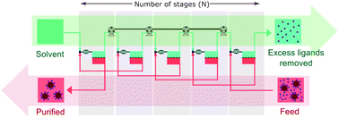 Graphical abstract: Multistage extraction platform for highly efficient and fully continuous purification of nanoparticles