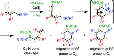 Graphical abstract: Intramolecular cascade rearrangements of enynamine derived ketenimines: access to acyclic and cyclic amidines