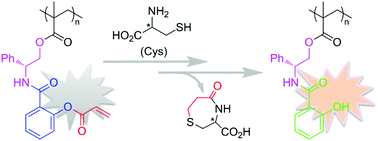 Graphical abstract: A polymer-based probe for specific discrimination of cysteine