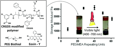 Graphical abstract: Modular photo-induced RAFT polymerised hydrogels via thiol–ene click chemistry for 3D cell culturing