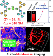 Graphical abstract: Ultrabright red AIEgens for two-photon vascular imaging with high resolution and deep penetration