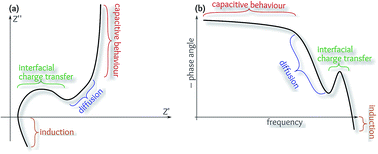 Graphical abstract: The mechanism of ultrafast supercapacitors