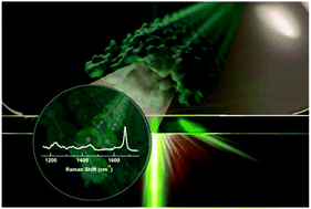 Graphical abstract: Raman fingerprints of amyloid structures