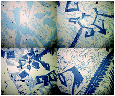 Graphical abstract: Investigation of ternary metal dodecaborides (M1M2M3)B12 (M1, M2 and M3 = Zr, Y, Hf and Gd)