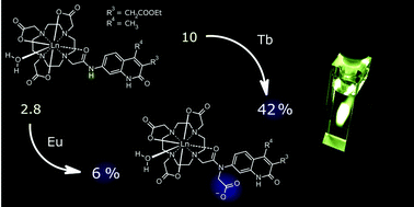 Graphical abstract: Highly luminescent lanthanide complexes sensitised by tertiary amide-linked carbostyril antennae