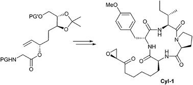 Graphical abstract: Total synthesis of the natural HDAC inhibitor Cyl-1