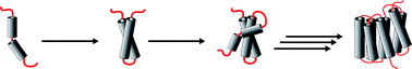 Graphical abstract: Understanding GPCR recognition and folding from NMR studies of fragments