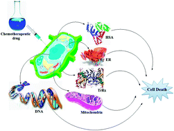 Graphical abstract: Scope of organometallic compounds based on transition metal-arene systems as anticancer agents: starting from the classical paradigm to targeting multiple strategies