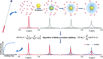 Graphical abstract: A non-sacrificial method for the quantification of poly(ethylene glycol) grafting density on gold nanoparticles for applications in nanomedicine