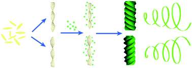 Graphical abstract: Circularly polarized luminescence of single-handed helical tetraphenylethylene–silica nanotubes