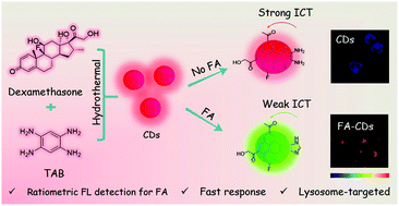 Graphical abstract: Lysosome-targeted carbon dots for ratiometric imaging of formaldehyde in living cells