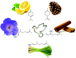 Graphical abstract: Terpene- and terpenoid-based polymeric resins for stereolithography 3D printing