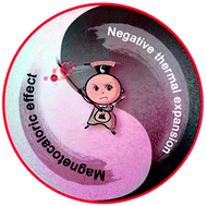 Graphical abstract: A case of multifunctional intermetallic compounds: negative thermal expansion coupling with magnetocaloric effect in (Gd,Ho)(Co,Fe)2