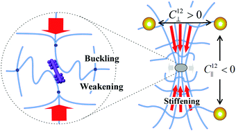Graphical abstract: Rapid local compression in active gels is caused by nonlinear network response