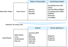 Graphical abstract: Liquid biopsy in combination with solid-state electrochemical sensors and nucleic acid amplification