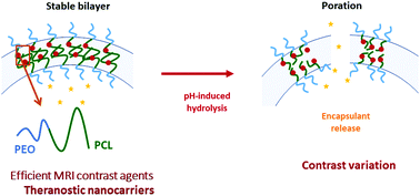 Graphical abstract: Embedding of superparamagnetic iron oxide nanoparticles into membranes of well-defined poly(ethylene oxide)-block-poly(ε-caprolactone) nanoscale magnetovesicles as ultrasensitive MRI probes of membrane bio-degradation