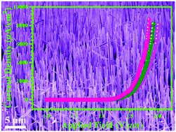 Graphical abstract: Graphene/SiC heterojunction nanoarrays: toward field emission applications with low turn-on fields and high stabilities