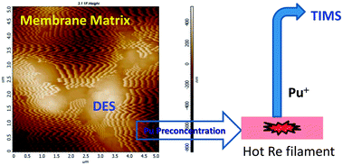 Graphical abstract: One step sample treatment and loading using a deep eutectic solvent immobilized in a porous substrate for thermal ionization mass spectrometry of Pu(iv) ions