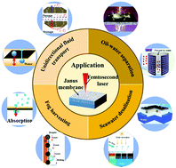 Graphical abstract: Recent advances in femtosecond laser-structured Janus membranes with asymmetric surface wettability