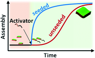 Graphical abstract: Controlled synthesis of organic two-dimensional nanostructures via reaction-driven, cooperative supramolecular polymerization