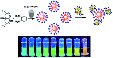 Graphical abstract: Surface engineered amphiphilic carbon dots: solvatochromic behavior and applicability as a molecular probe