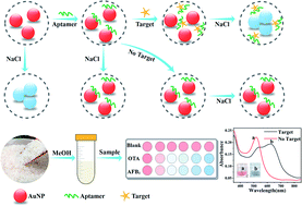 Graphical abstract: Gold nanoparticle-based colorimetric aptasensor for rapid detection of multiple mycotoxins in rice
