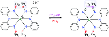 Graphical abstract: Redox-induced reversible P–P coupling in a uranium complex