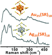 Graphical abstract: Molecule-like and lattice vibrations in metal clusters