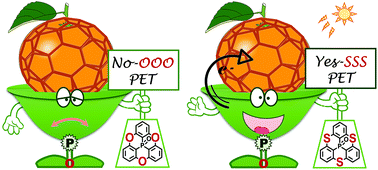 Graphical abstract: Photoinduced electron transfer in non-covalent complexes of C60 and phosphangulene oxide derivatives