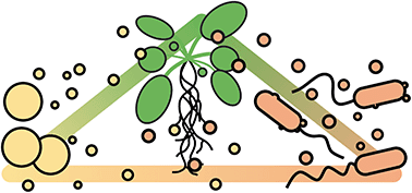 Graphical abstract: Microbial vesicle-mediated communication: convergence to understand interactions within and between domains of life